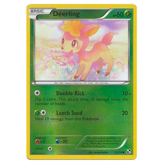 Pokemon - Black & White - (Reverse Holo) Deerling 13/114