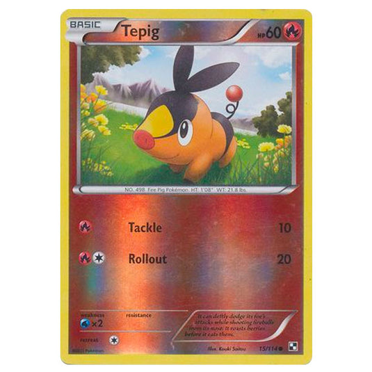 Pokemon - Black & White - (Reverse Holo) Tepig 15/114