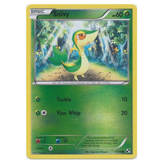 Pokemon - Black & White - (Reverse Holo) Snivy 1/114