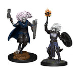 Dungeons & Dragons - Nolzur's Marvelous Miniatures - Changeling Cleric