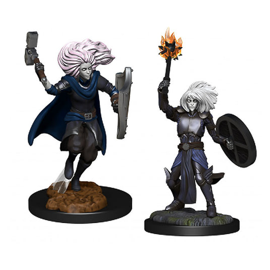 Dungeons & Dragons - Nolzur's Marvelous Miniatures - Changeling Cleric
