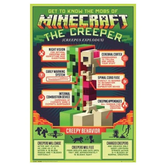 Minecraft Creepy Behaviour - Maxi Poster