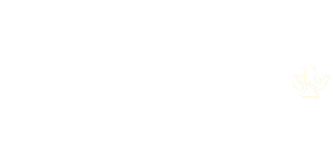 MetaZoo - Cryptid Nation