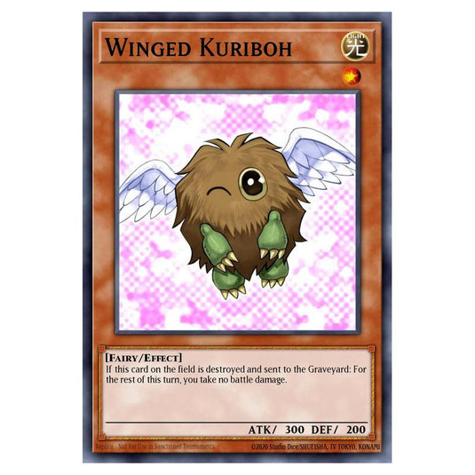Yu-Gi-Oh! - Speed Duel GX - Duel Academy Box - Winged Kuriboh (Secret Rare) SGX1-ENA06