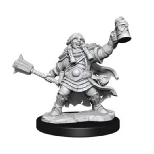 Dungeons & Dragons - Frameworks - Dwarf Cleric Female