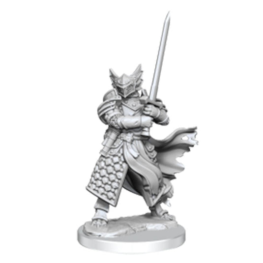 Dungeons & Dragons - Frameworks - Dragonborn Paladin Male