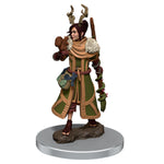 Dungeons & Dragons - Icons of the Realms - Premium Figures - Female Human Druid