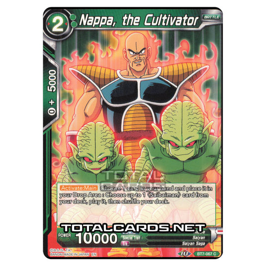 Dragon Ball Super - BT7 - Assault of the Saiyans - Nappa, the Cultivator - BT7-067