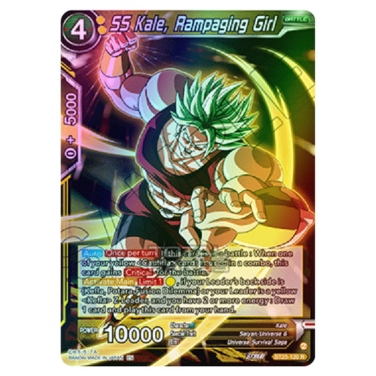 Dragon Ball Super - B23 - Perfect Combination