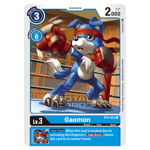 Evolucao Gaomon