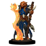 Dungeons & Dragons - Icons of the Realms - Premium Painted Figure - Dragonborn Sorcerer Female