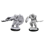 Dungeons & Dragons - Nolzur's Marvelous Miniatures - Dragonborn Fighter Male