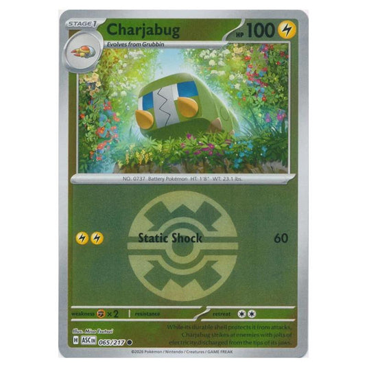 Pokemon - Mega Evolution - Ascended Heroes - Ball & Rocket Reverse Holo - Charjabug - 065/217