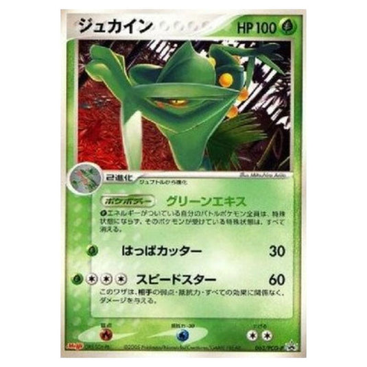 Pokemon - PCG - Promos - Sceptile - 0063/047