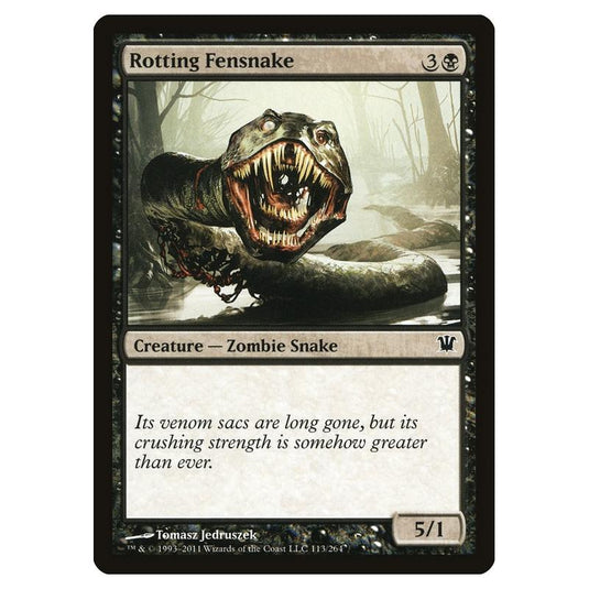Magic the Gathering - Innistrad - Rotting Fensnake - 113/264