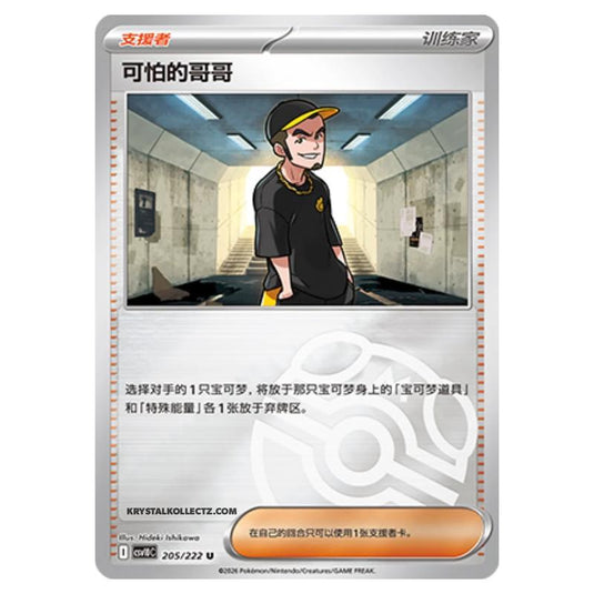 Pokemon - Chasing Glory Together - Ruffian - 205/222 (Master Ball Reverse)
