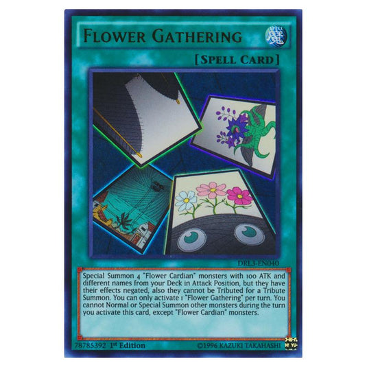 Yu-Gi-Oh! - Dragons of Legend - Unleashed - Flower Gathering (Ultra Rare) DRL3-EN040