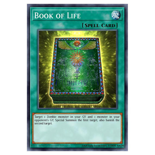 Yu-Gi-Oh! - Structure Deck - Zombie Madness - Book of Life (Common) SD2-EN021