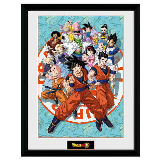 GBeye Collector Print - Dragon Ball Super Universe Group 30x40cm