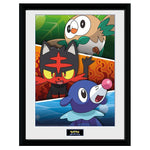 GBeye Collector Print - Pokemon Alola Partners