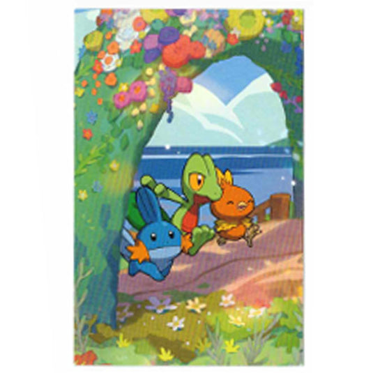 Pokemon - Celebrations - Mini Tin - Treecko, Mudkip & Torchic - Art Card