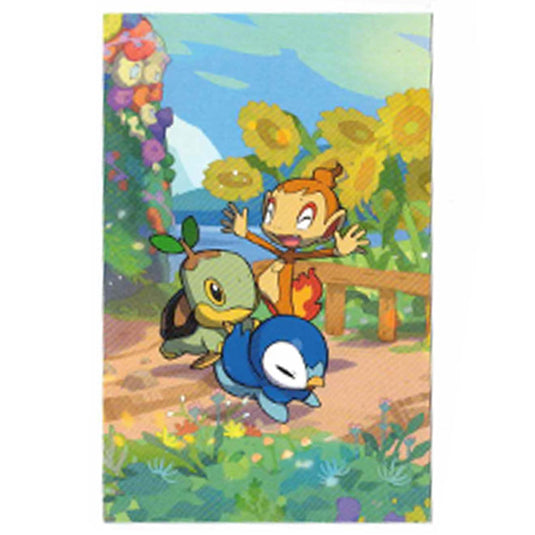 Pokemon - Celebrations - Mini Tin - Turtwig, Piplup & Chimchar - Art Card