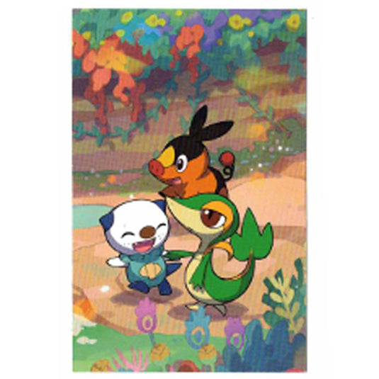 Pokemon - Celebrations - Mini Tin - Snivy, Oshawott & Tepig - Art Card
