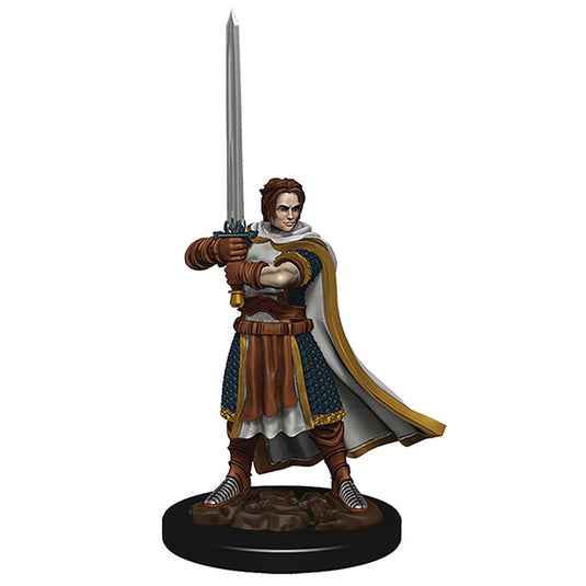 Dungeons & Dragons - Icons of the Realms - Premium Painted Figure - Human Cleric Male