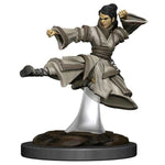 Dungeons & Dragons - Icons of the Realms - Premium Figures - Human Monk Female