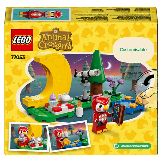 lego animal crossing stargazing with celeste box back