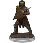 Dungeons & Dragons - Icons of the Realms - Premium Figures - Male Human Fighter