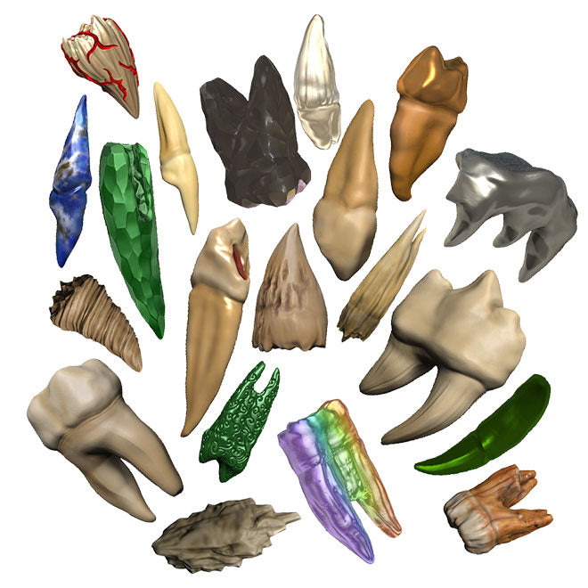 Tooth 5e Dungeons & Dragons - Teeth of Dahlver-Nar - Bite-Sized Artifact