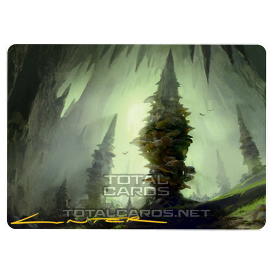 Magic The Gathering - Adventures in the Forgotten Realms - Art Series - Forest - 55/81 (Signed)