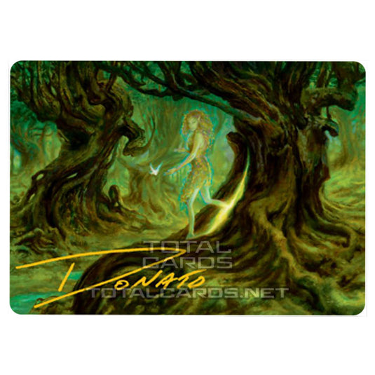 Magic The Gathering - Adventures in the Forgotten Realms - Art Series - Neverwinter Dryad  - 69/81 (Signed)