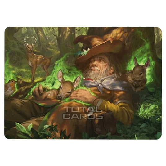 Magic The Gathering - The Lord of the Rings - Tales of Middle-earth - Art Series - Asceticism - 0072