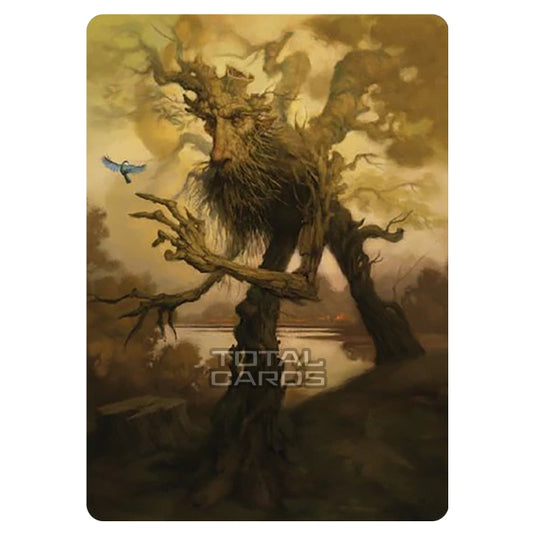 Magic The Gathering - The Lord of the Rings - Tales of Middle-earth - Art Series - Treefolk - 0081