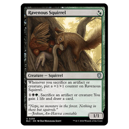 Ravenous Squirrel 0258 card from the Magic The Gathering set Bloomburrow Commander