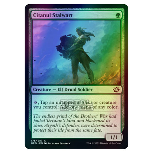 Magic The Gathering - The Brothers War - Citanul Stalwart - 175/287 (Foil)