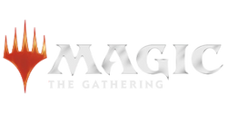 Magic the Gathering - Accessories Collection