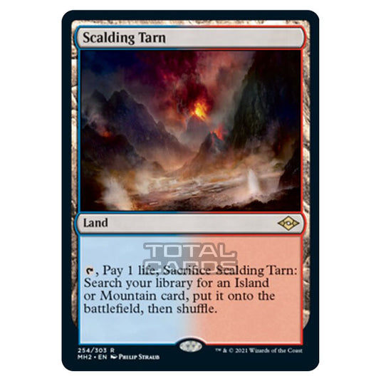 Magic The Gathering - Modern Horizons 2 - Scalding Tarn - 254/303