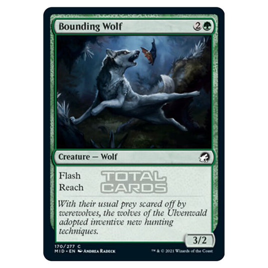 Magic The Gathering - Innistrad - Midnight Hunt - Bounding Wolf - 170/ Magic The Gathering - Innistrad - Midnight Hunt - Bounding Wolf - 170/