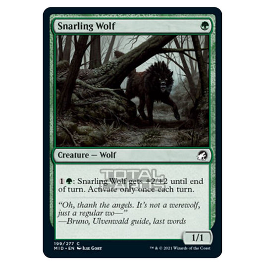 Magic The Gathering - Innistrad - Midnight Hunt - Snarling Wolf - 199/277