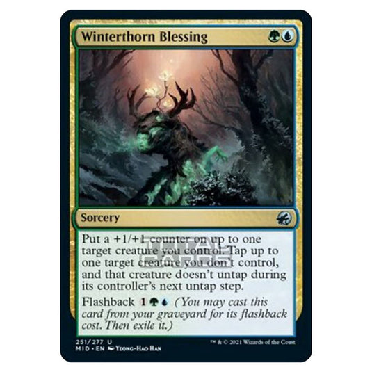 Magic The Gathering - Innistrad - Midnight Hunt - Winterthorn Blessing - 251/277