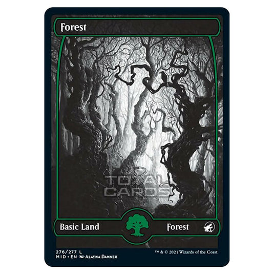 Magic The Gathering - Innistrad - Midnight Hunt - Forest - 276/277