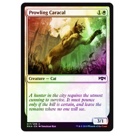 Magic The Gathering - Ravnica Allegiance - Prowling Caracal - 17/273 (Foil)