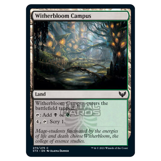 Magic The Gathering - Strixhaven - Witherbloom Campus - 275/275