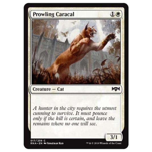 Magic The Gathering - Ravnica Allegiance - Prowling Caracal - 17/259