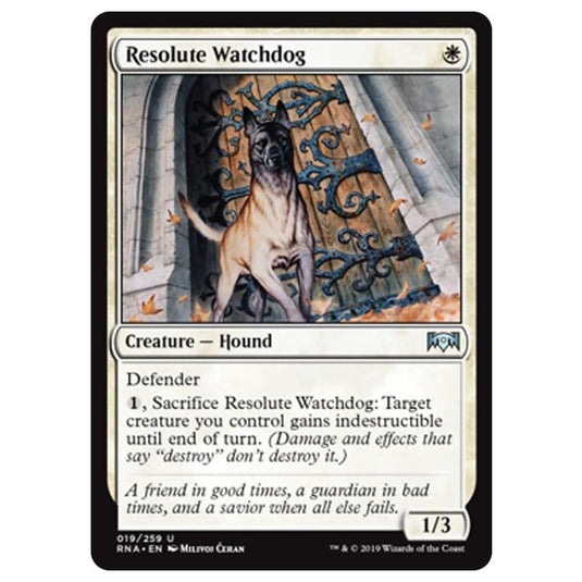 Magic The Gathering - Ravnica Allegiance - Resolute Watchdog - 19/259