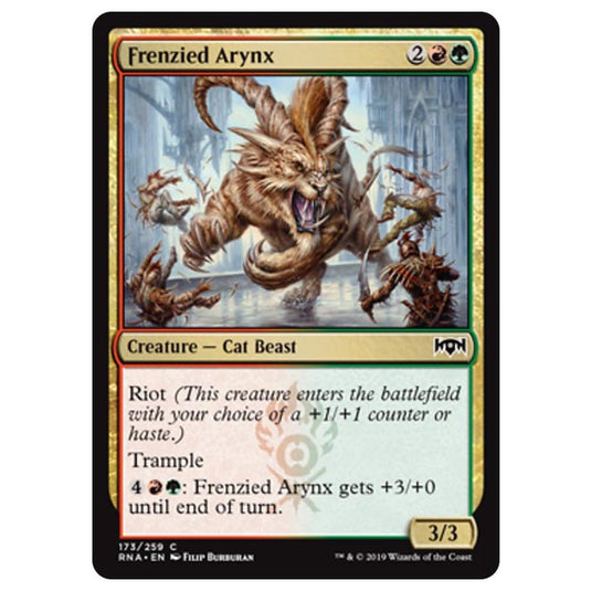 Magic The Gathering - Ravnica Allegiance - Frenzied Arynx - 173/259