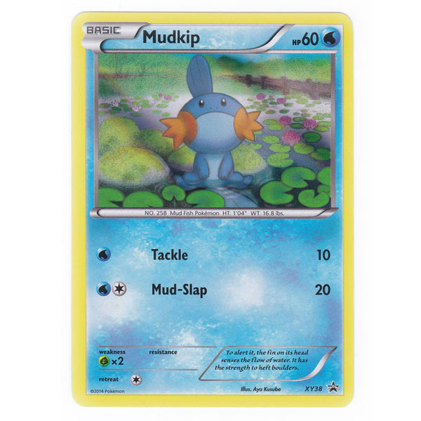 Pokemon Card - Mudkip XY38 Holo - XY Black Star Promos (Single Card) - View #6